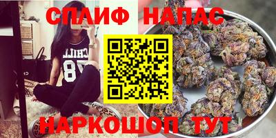 мяу мяу мука Севастополь